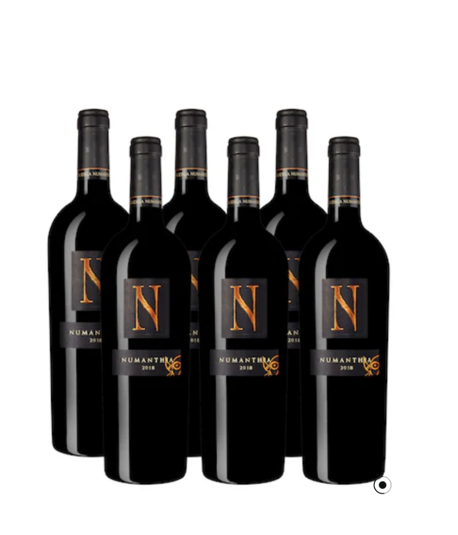 Bodega Numanthia Termes